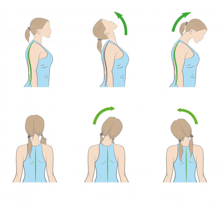 NP-Stock image-Back exercise-techniques